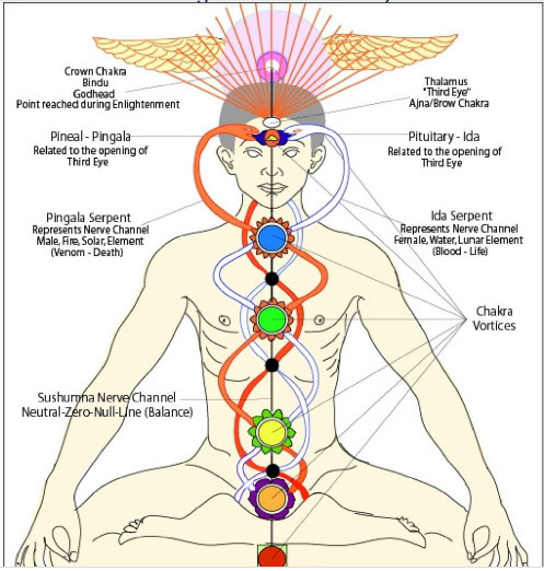Hình ảnh minh họa các luân xa trong cơ thể