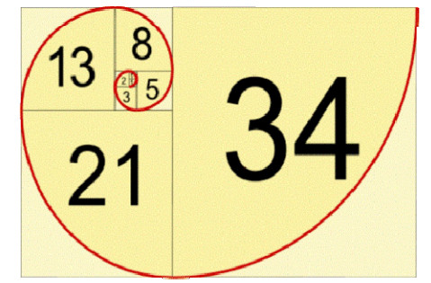 Hình ảnh minh họa dãy số Fibonacci