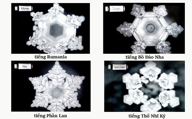 Hình dạng của nước khi nghe cảm ơn từ tiếng các nước