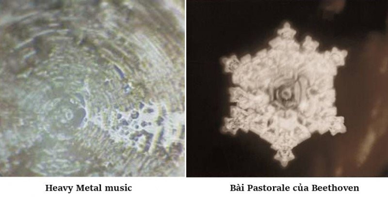 Hình dạng tinh thể nước tuyệt đẹp khi được nghe nhạc