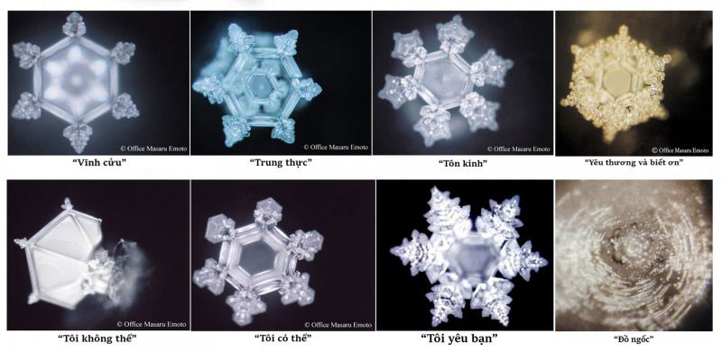Hình dạng tinh thể nước qua những lời nói khác nhau
