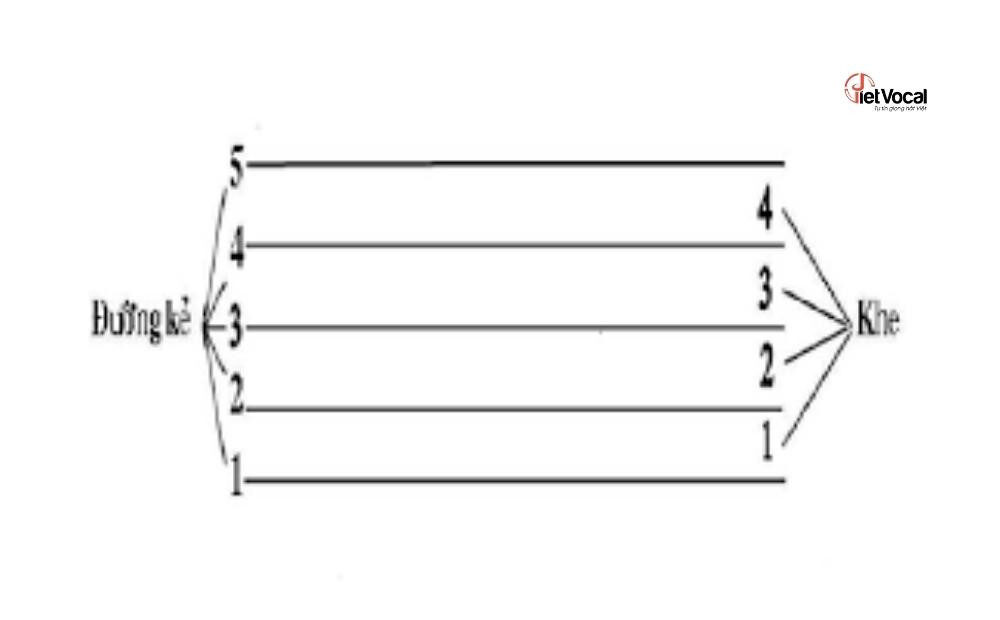 Khuông nhạc cơ bản