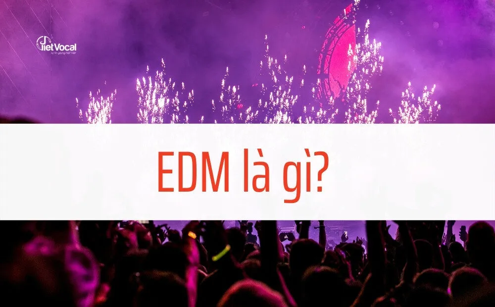 Nhạc EDM là gì? Các thể loại EDM thịnh hành hiện nay