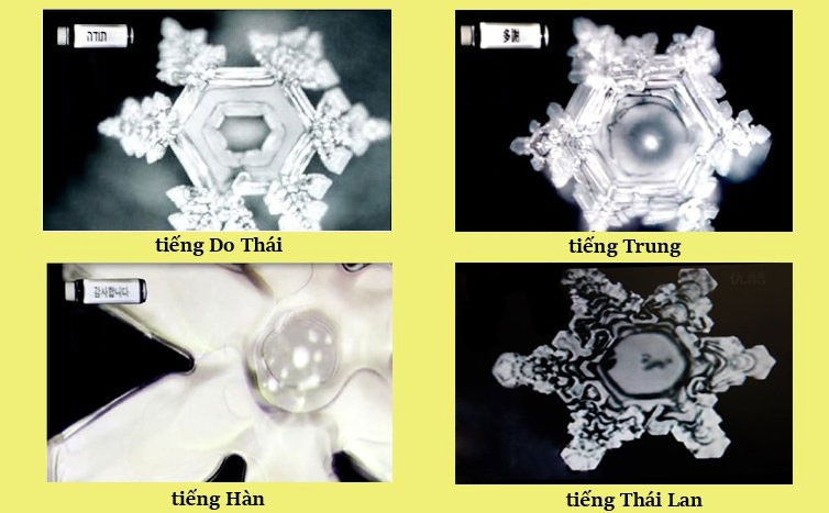 Nước khi nghe cảm ơn từ ngôn ngữ các nước ở Châu Á