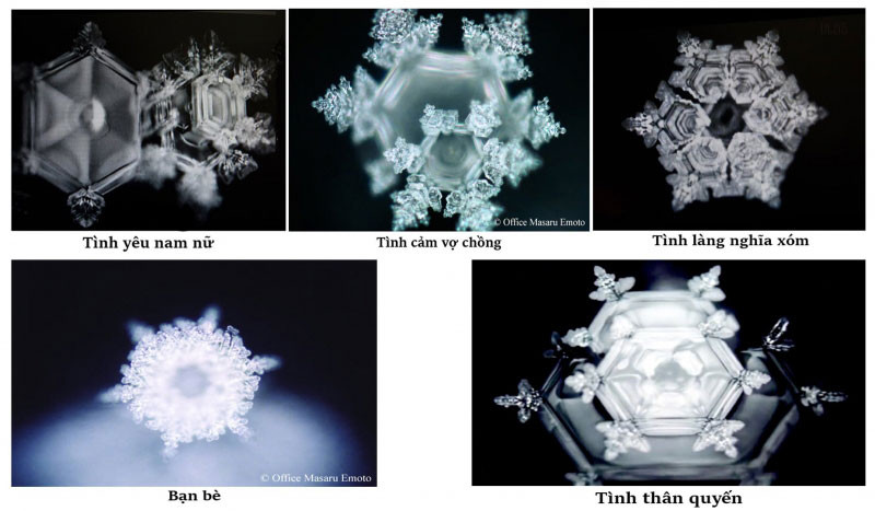 Tinh thể nước qua các mối quan hệ xã hội
